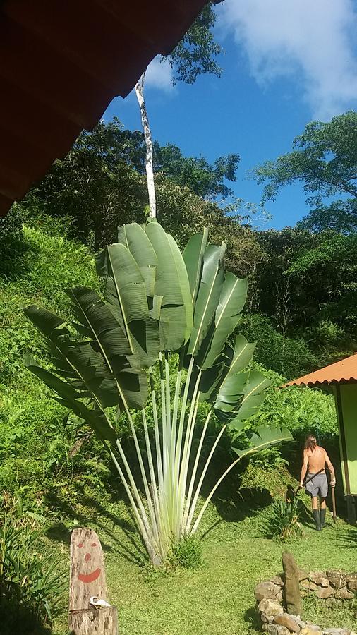 Casita Rio Indio Nombre de Dios Exterior foto
