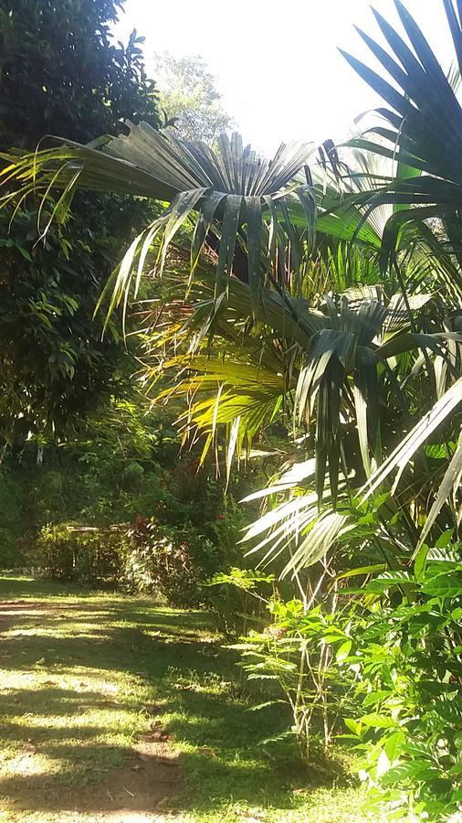 Casita Rio Indio Nombre de Dios Exterior foto