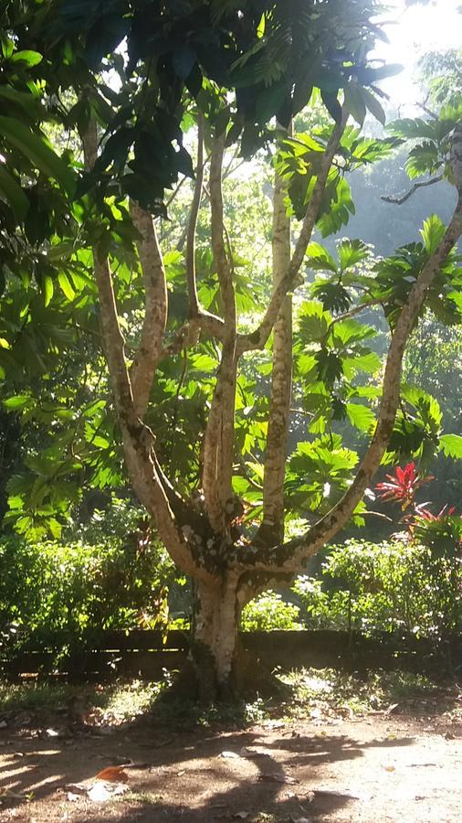 Casita Rio Indio Nombre de Dios Exterior foto