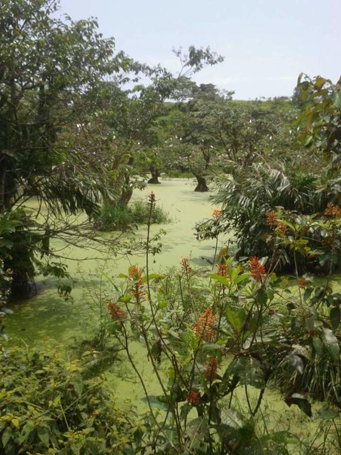 Casita Rio Indio Nombre de Dios Exterior foto